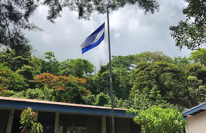 Pode ser vista uma bandeira azul e branca num mastro de bandeira rodeado de árvores.